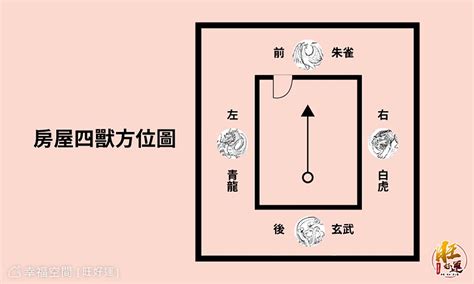 龍邊虎邊|【龍虎邊怎麼分】掌握風水秘訣！「龍虎邊」怎麼分？。